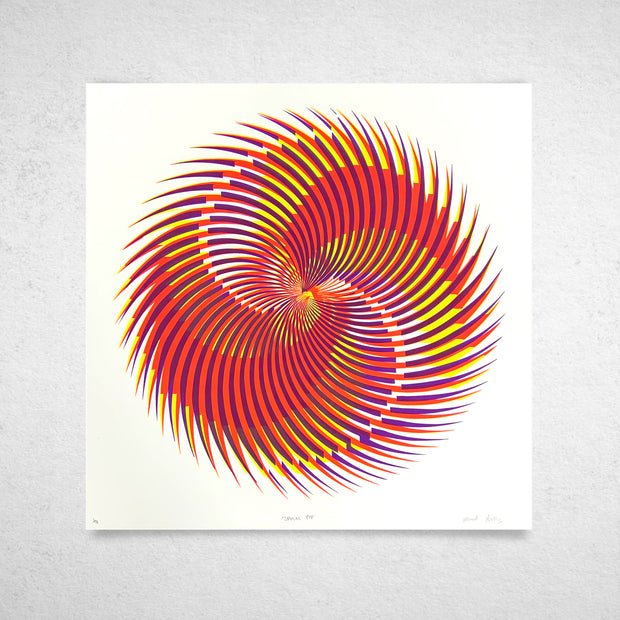 'Spiral YPP' by Sarah Fitzgibbon