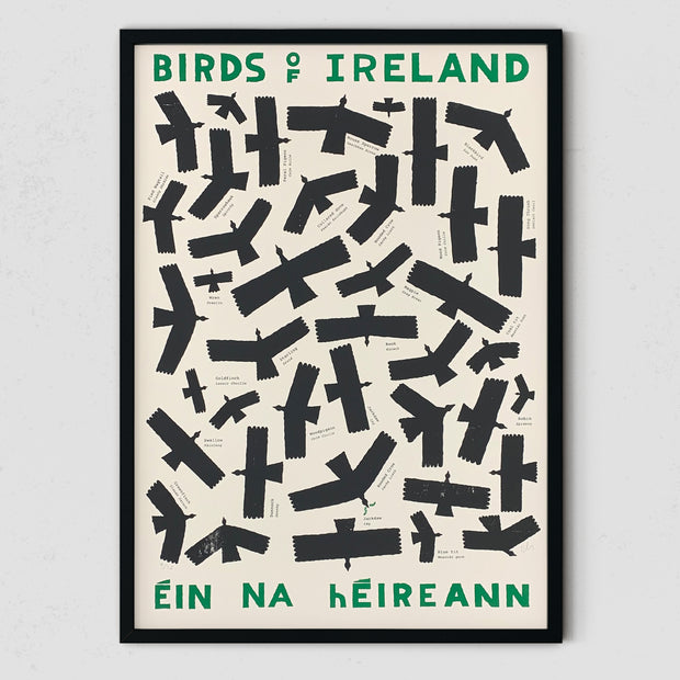 'Birds Of Ireland' (A2 Screen Print) by Conor Nolan