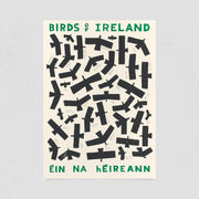 'Birds Of Ireland' (A2 Screen Print) by Conor Nolan