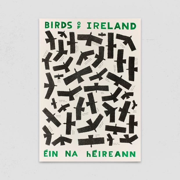 'Birds Of Ireland' (A3 Risograph Print) by Conor Nolan