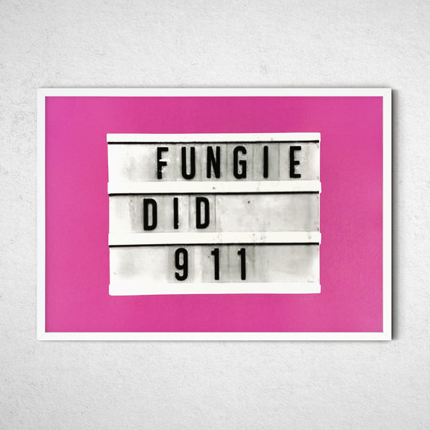 'Fungie' by NDP