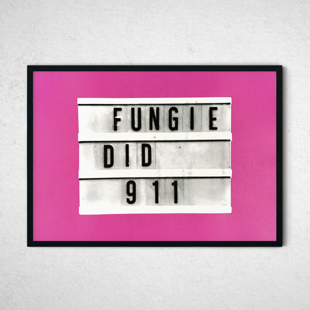 'Fungie' by NDP