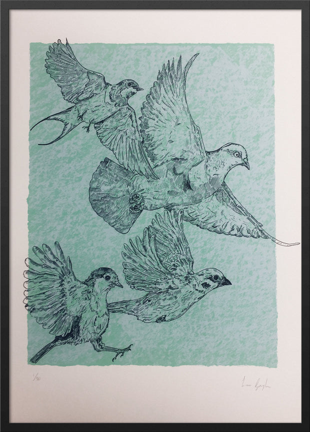"The Birds" by Liam Gough